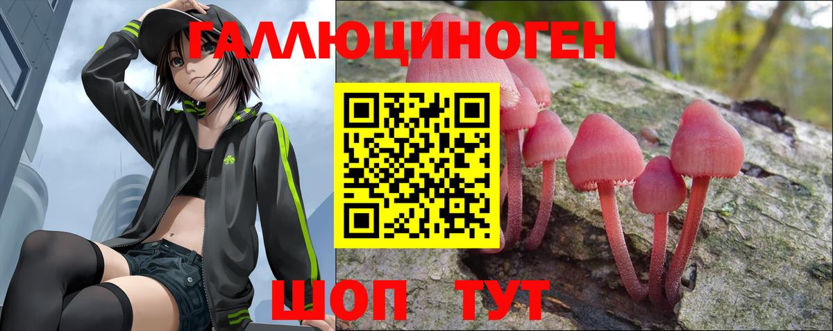 Галлюциногенные грибы прущие грибы  Вход с VPN  Псилоцибиновые грибы GOLDEN TEACHER  купить наркотики цена  Мелеуз 